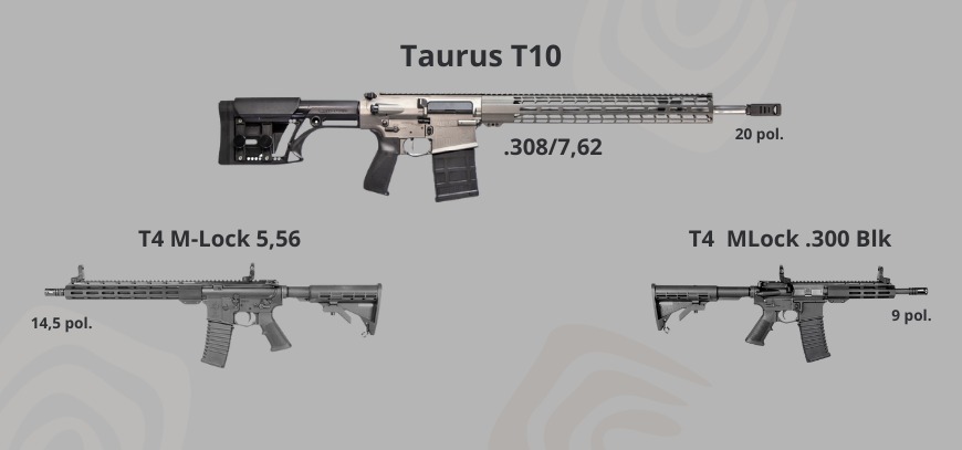 banner-taurus-brws Banner taurus brws